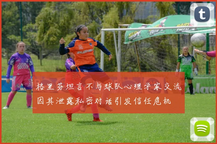 格里芬坦言不与球队心理学家交流因其泄露私密对话引发信任危机