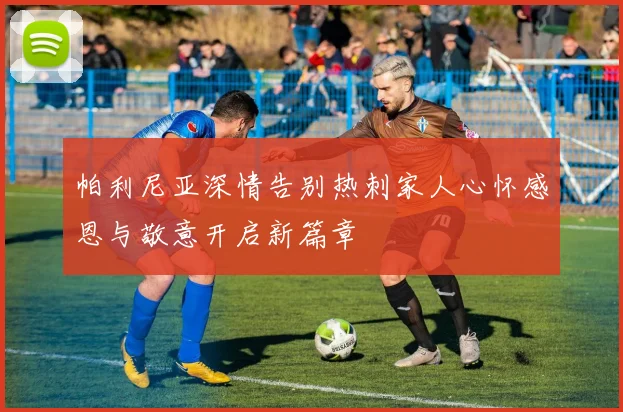 帕利尼亚深情告别热刺家人心怀感恩与敬意开启新篇章