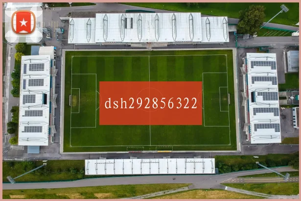 dsh292856322