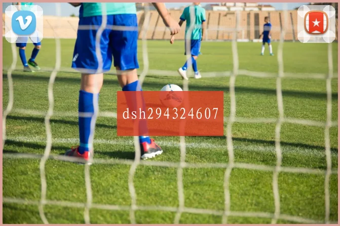 dsh294324607